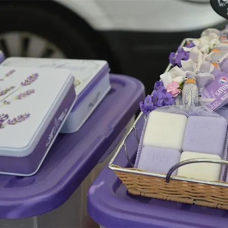 Duplex 100m Plage, Terrasse, Parking, 4 Couchages - - Fr-1-251-533 Apartment