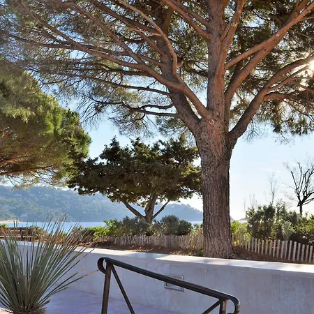 Duplex 100m Plage, Terrasse, Parking, 4 Couchages - - Fr-1-251-533 Le Lavandou